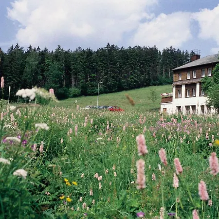 Gæstehus Bergidyll Bärenstein