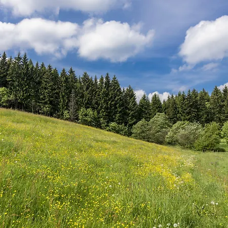 Gæstehus Bergidyll Bärenstein